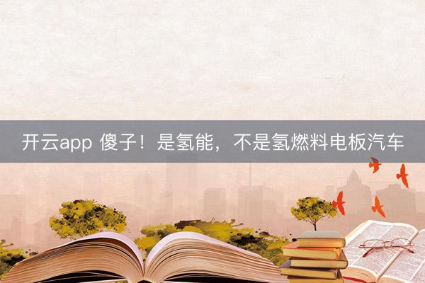 开云app 傻子！是氢能，不是氢燃料电板汽车